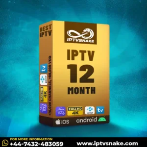 12 Months IPTV Subscriptions